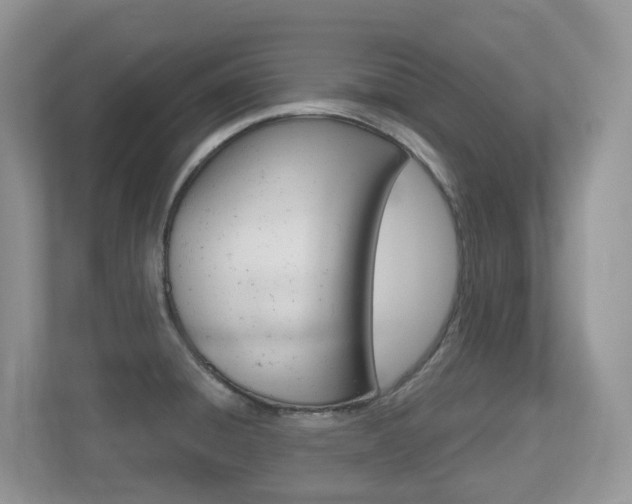X0000112501428200908171002