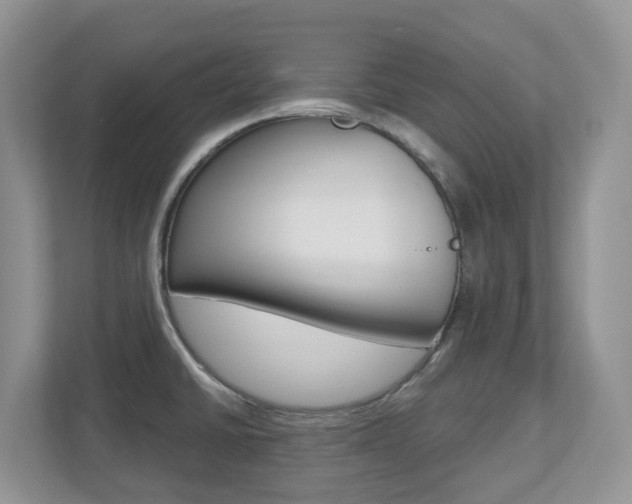 X0000112501430200908171002