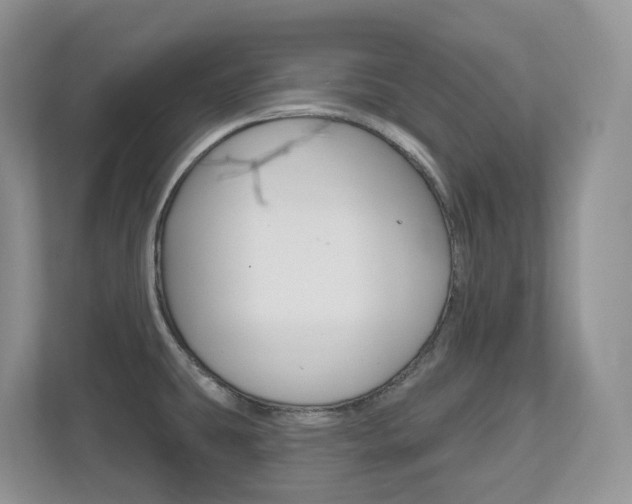X0000112501431200908171002