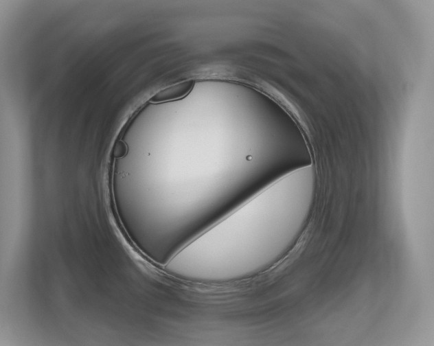 X0000112501434200908171002