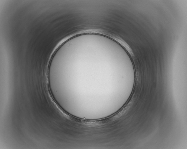 X0000112501436200908171002