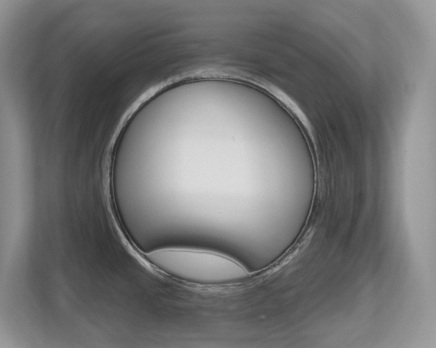 X0000112501437200908171002