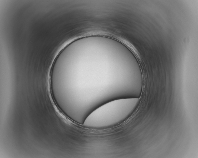 X0000112501439200908171002