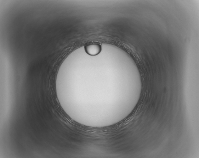 X0000112501444200908171002