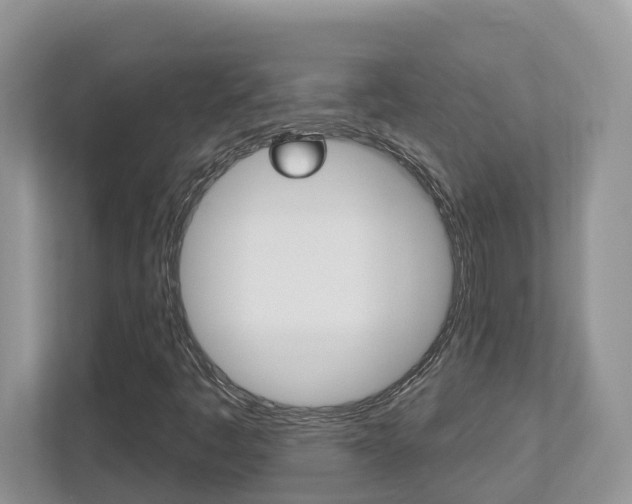 X0000112501445200908171002
