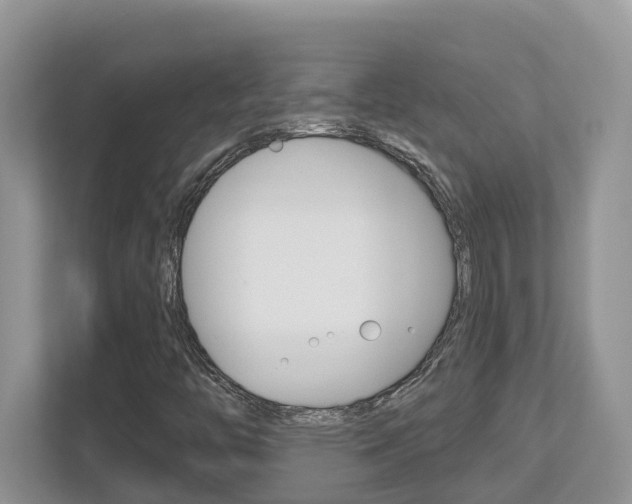 X0000112501446200908171002