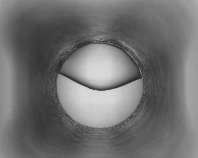 X0000112501447200908171002