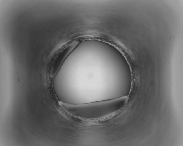 X0000112501448200908171002