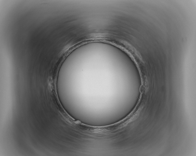 X0000112501449200908171002