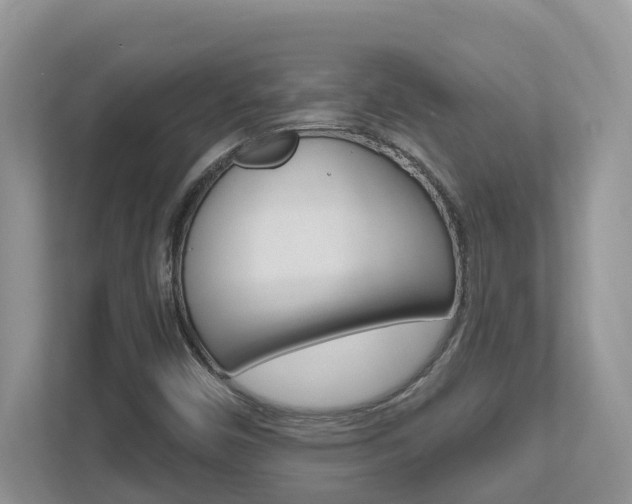 X0000112501450200908171002