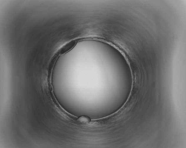 X0000112501452200908171002