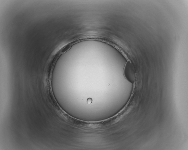 X0000112501453200908171002