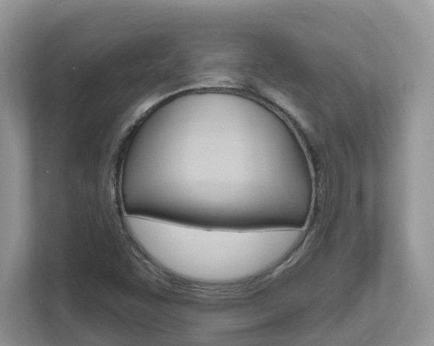 X0000112501455200908171002