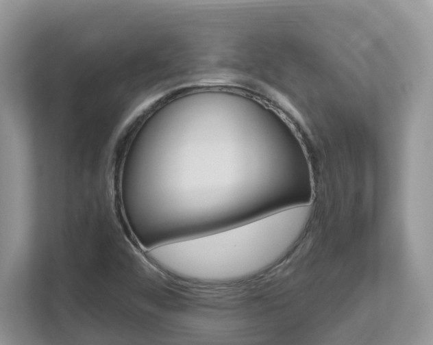 X0000112501456200908171002