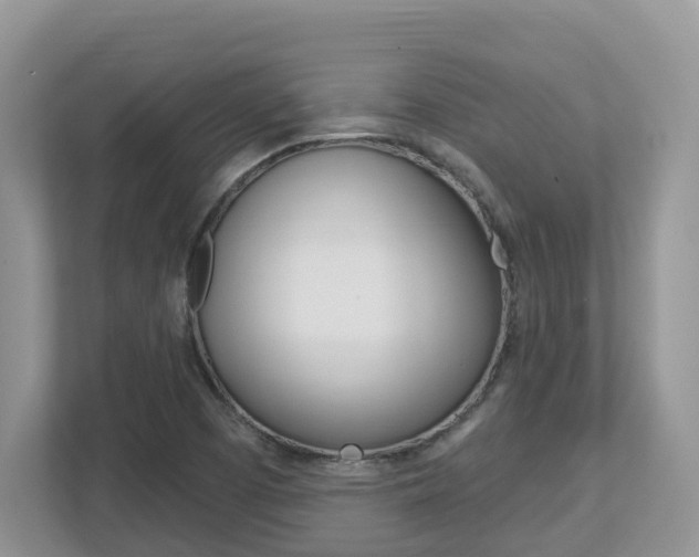 X0000112501457200908171002