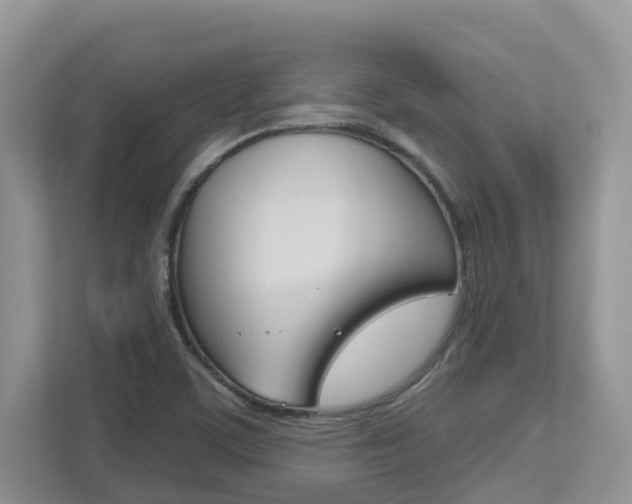 X0000112501459200908171001