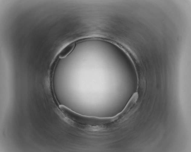 X0000112501460200908171001
