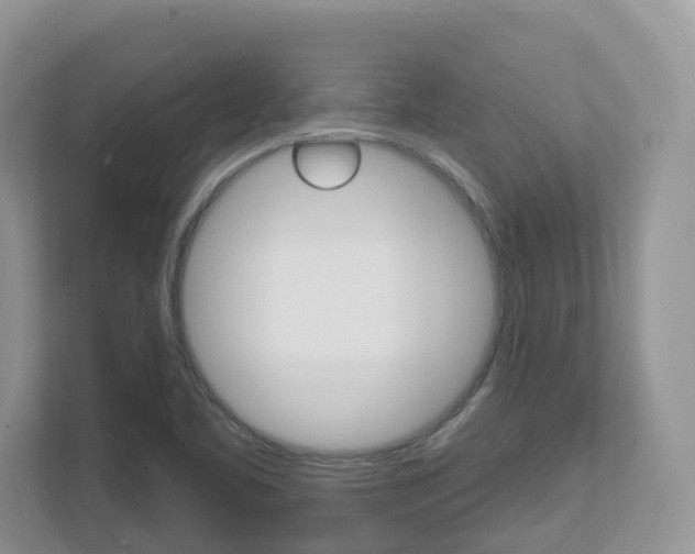 X0000112501461200908171001