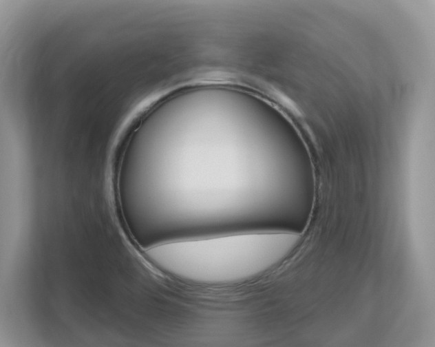 X0000112501464200908171001