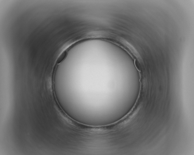 X0000112501465200908171001