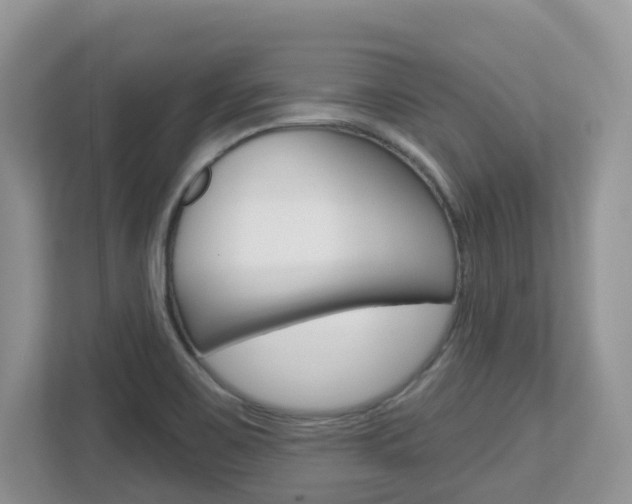 X0000112501467200908171001