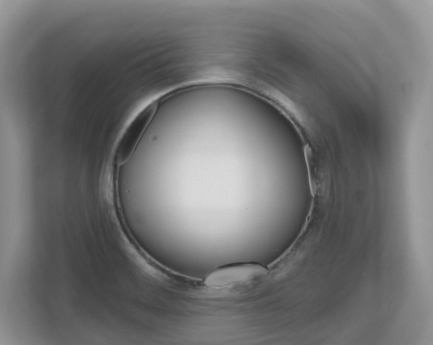 X0000112501468200908171001