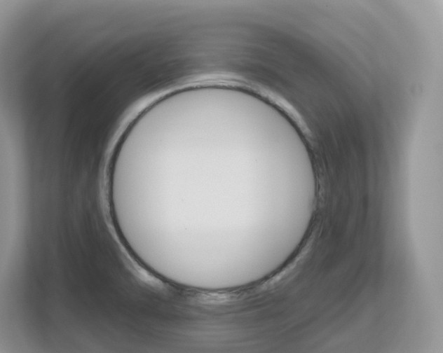 X0000112501470200908171001