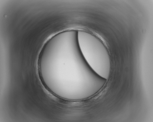 X0000112501471200908171001