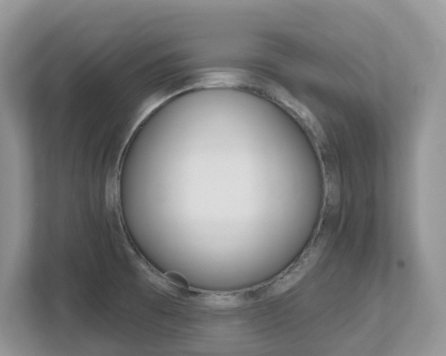 X0000112501473200908171001