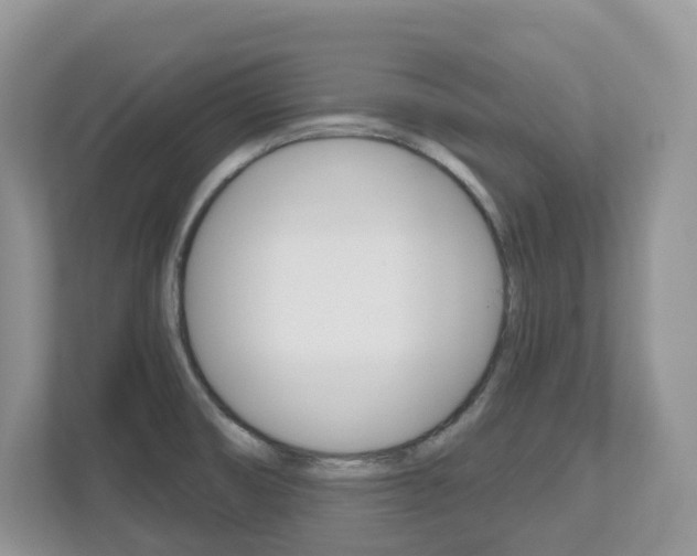 X0000112501474200908171001