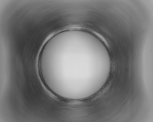 X0000112501475200908171001