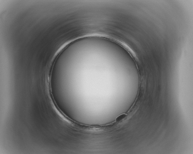 X0000112501476200908171001