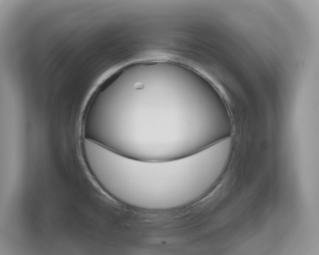 X0000112501477200908171001