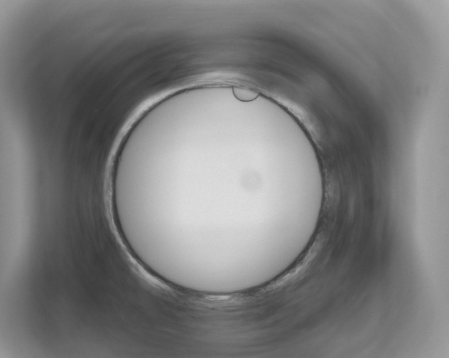 X0000112501478200908171001