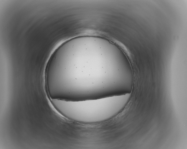 X0000112501479200908171001