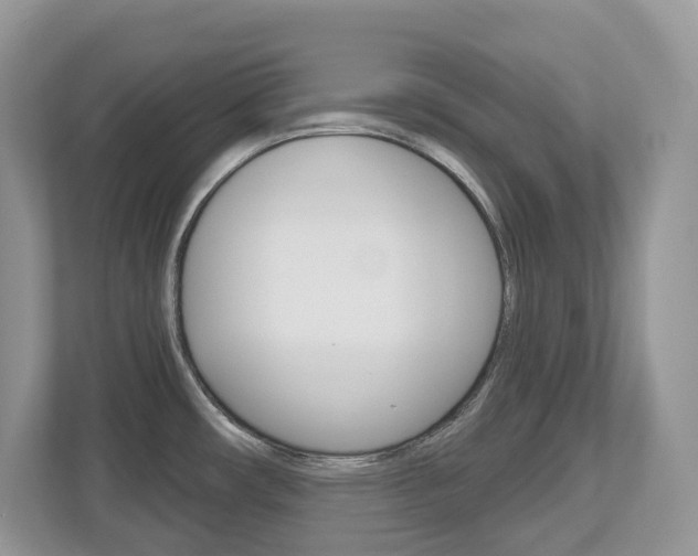 X0000112501482200908171001