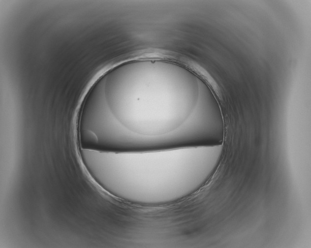 X0000112501483200908171001