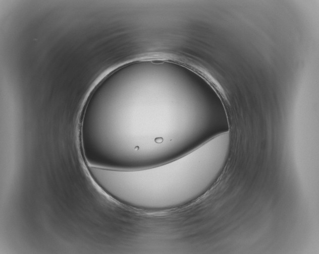 X0000112501484200908171001