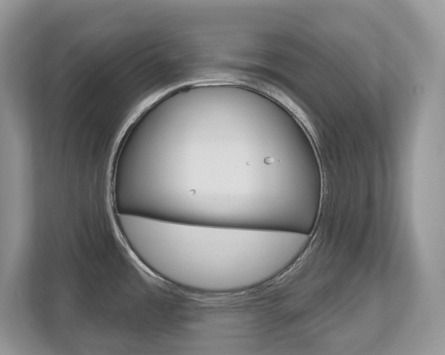 X0000112501485200908171001