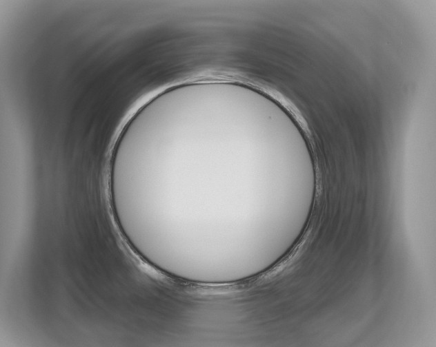 X0000112501486200908171001