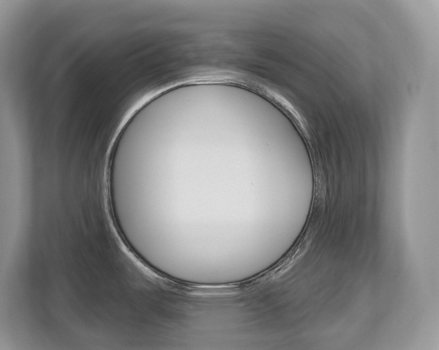 X0000112501487200908171001
