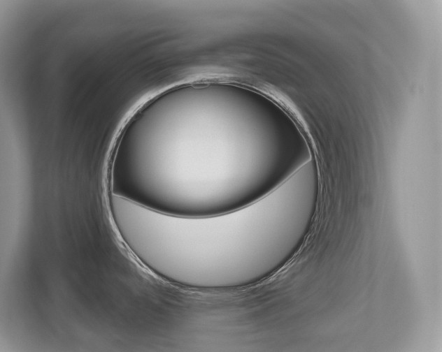 X0000112501488200908171001
