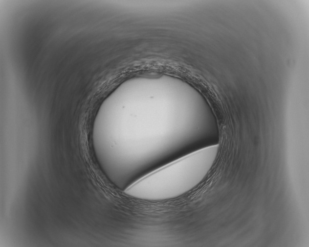 X0000112501489200908171000