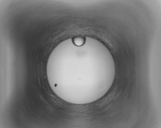 X0000112501492200908171001