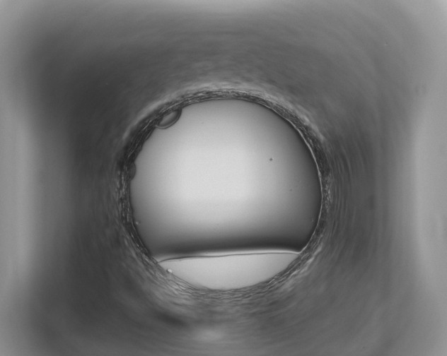X0000112501494200908171001