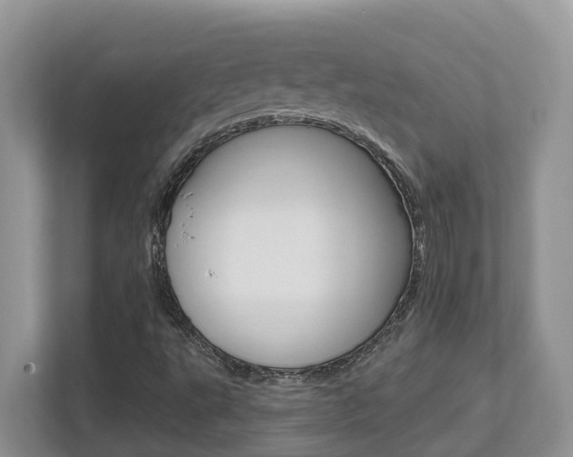 X0000112501495200908171001