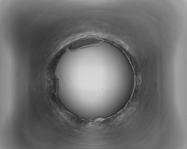 X0000112501496200908171001