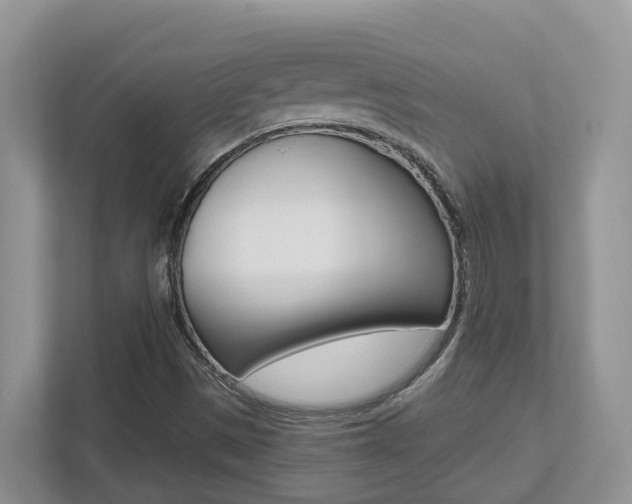 X0000112501497200908171001