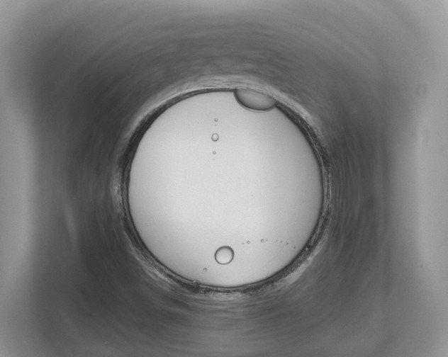 X0000112501498200908171001