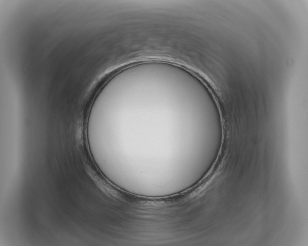 X0000112501499200908171001